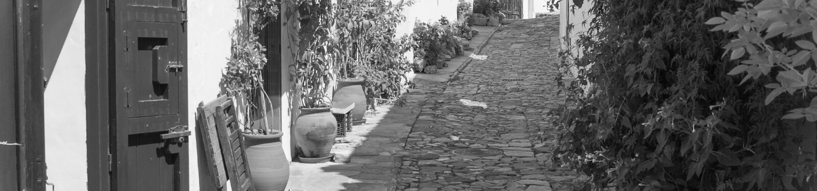 2,040 κιλά Happy Choice 'Cretan mama BIO μιξ ντομάτας'